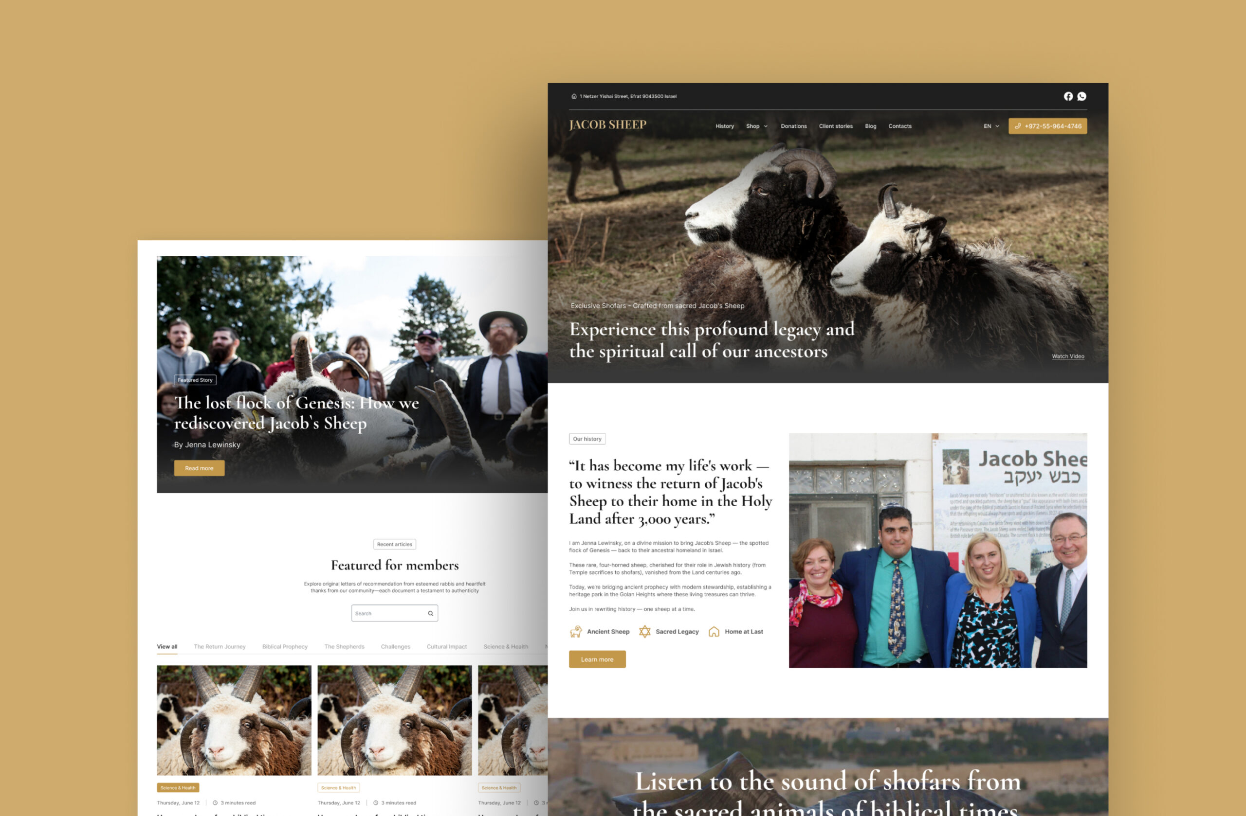 Case Study: Designing the Jacob Sheep Experience